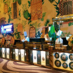 Catering Services by Classic Caterers and Wedding Planners, Phagwara Punjab